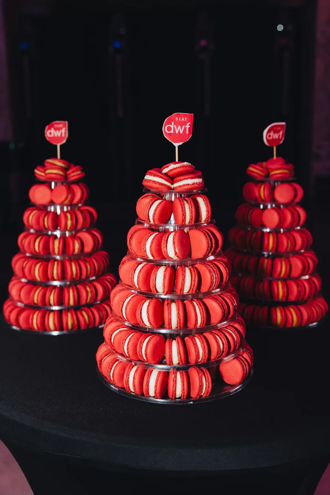 DWF — zdjęcie 28 z 30