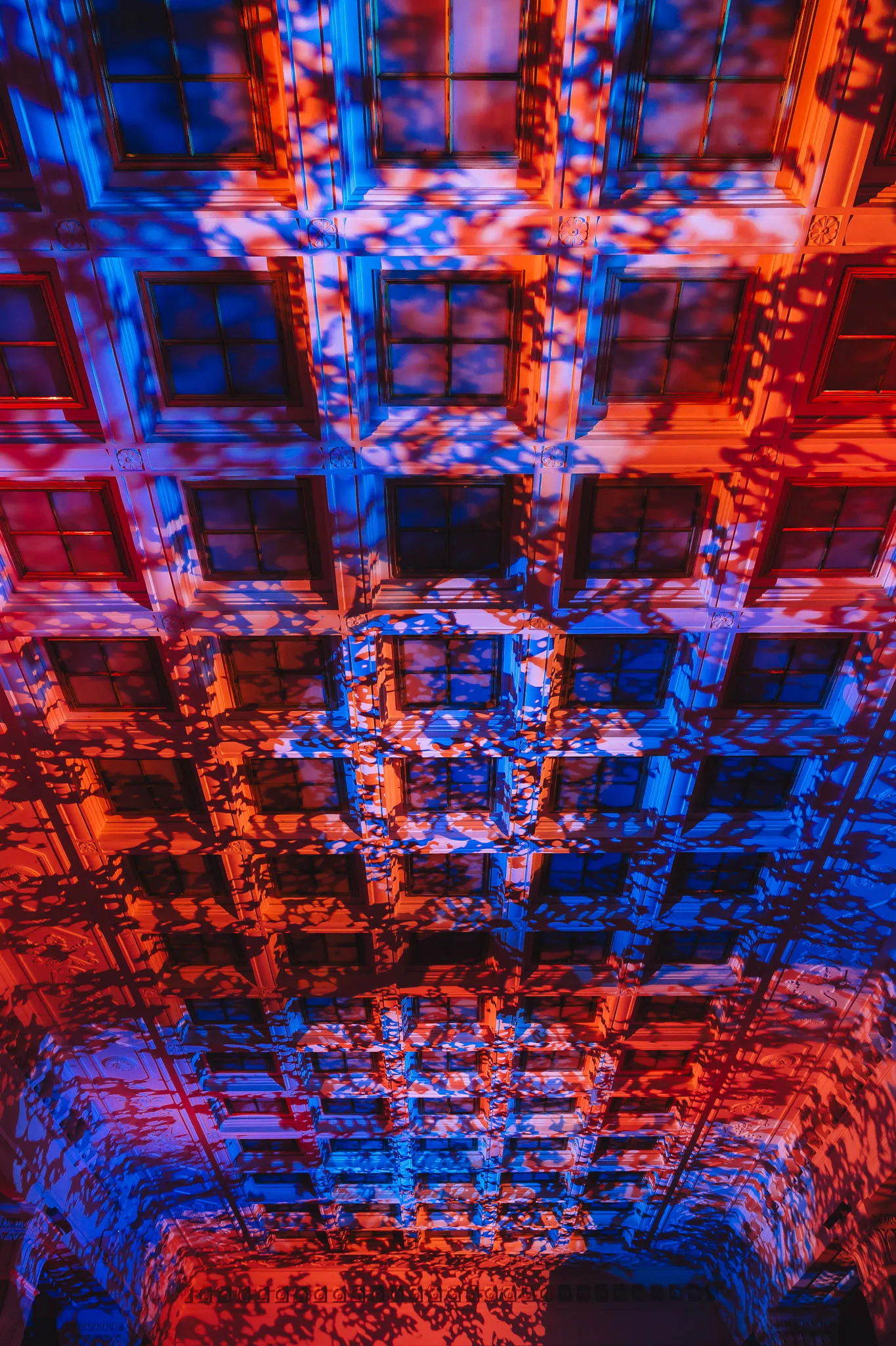 DWF — zdjęcie 29 z 30